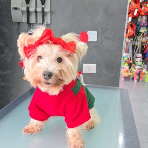 WhatsApp Image 2026-02-16 at 21.23.07 (1)