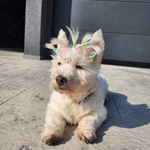 WhatsApp Image 2026-02-16 at 21.23.07