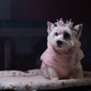 WhatsApp Image 2026-02-16 at 21.23.08 (2)