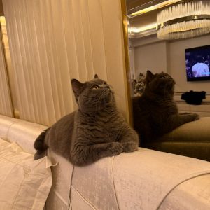 WhatsApp Image 2026-02-16 at 21.29.41 (1)