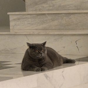 WhatsApp Image 2026-02-16 at 21.29.41