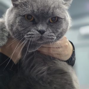 WhatsApp Image 2026-02-16 at 21.29.42